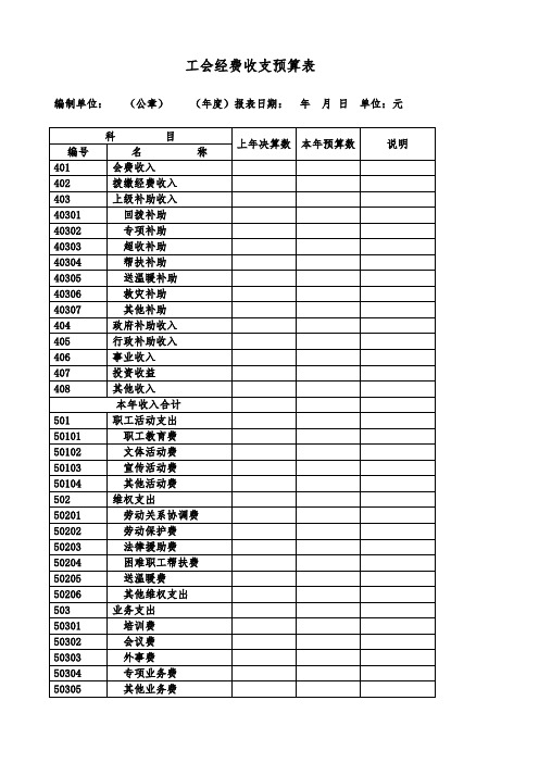 工会经费收支预算表111