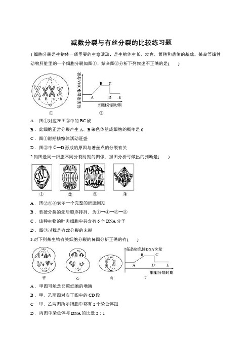 2019届高三生物一轮复习对点精选训练：减数分裂与有丝分裂的比较