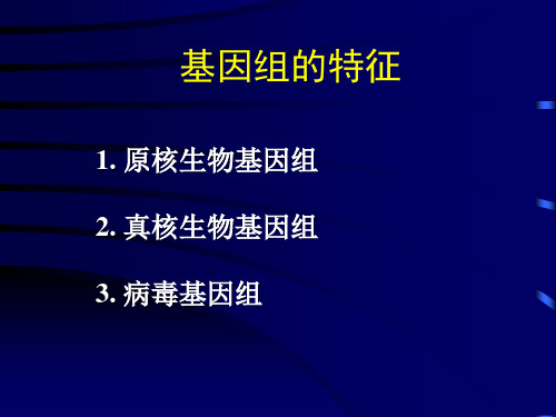 基因组的结构特点