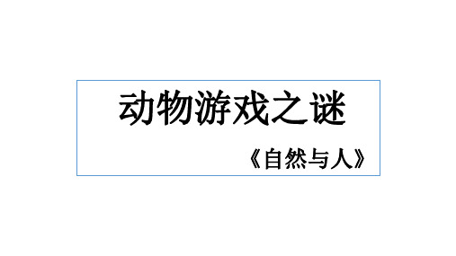 《动物游戏之谜》课件