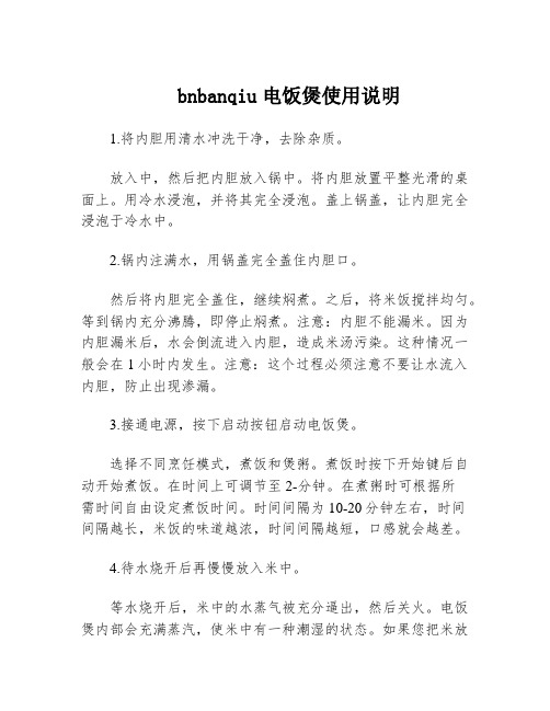 bnbanqiu电饭煲使用说明