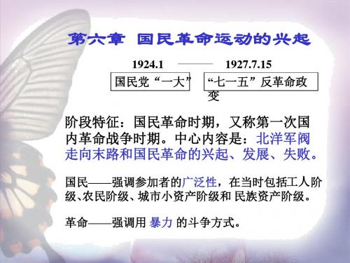 国民革命运动的兴起 PPT课件2 人教版