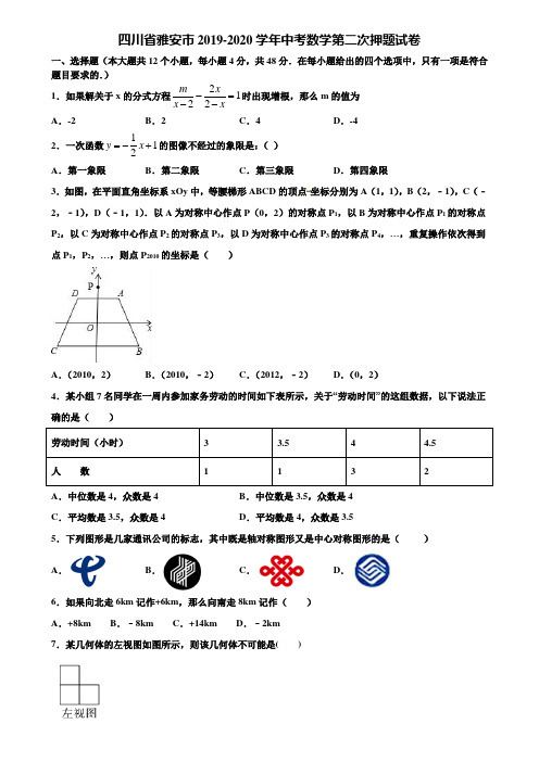 四川省雅安市2019-2020学年中考数学第二次押题试卷含解析