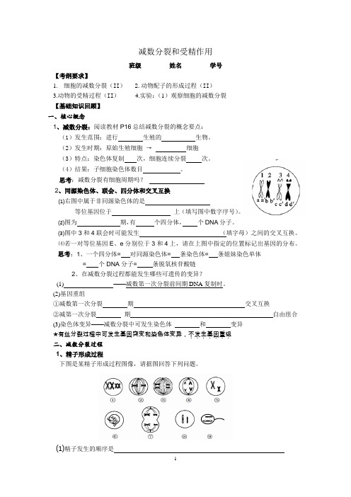 2020届高三生物复习《减数分裂和受精作用》学案含答案