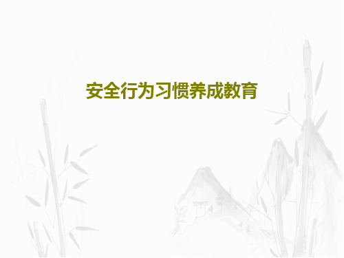 安全行为习惯养成教育PPT27页