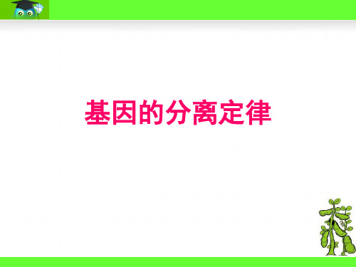 孟德尔第一定律(基因的分离定律)全