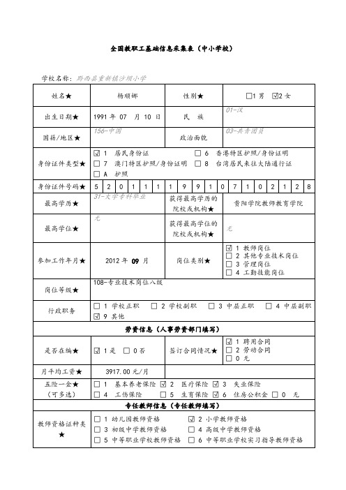 杨顺娜全国教职工基础信息采集表中小学校无标注[2]