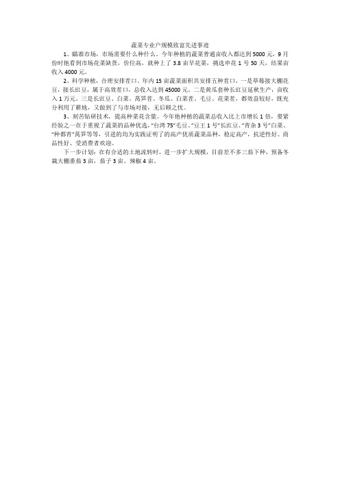 蔬菜专业户规模致富先进事迹