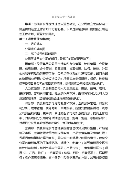 新公司运营工作计划