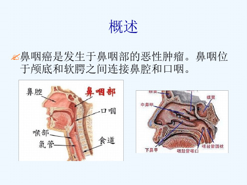 防治鼻咽癌的中药