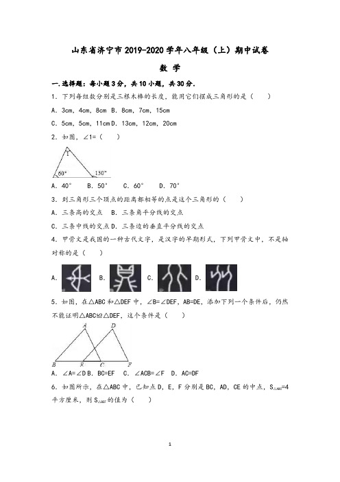 山东省济宁市2019-2020学年八年级上期中数学试卷及答案