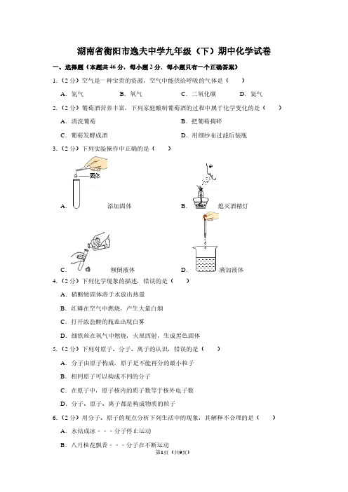 湖南省衡阳市逸夫中学九年级(下)期中化学试卷