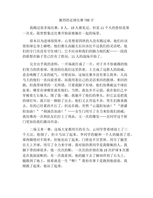 一场激烈的足球赛作文700字