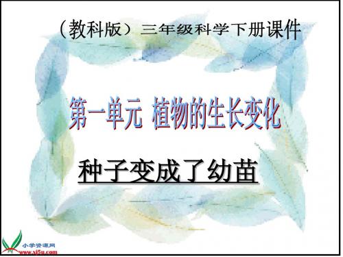 三年级科学下册_1.4种子变成了幼苗_教科版
