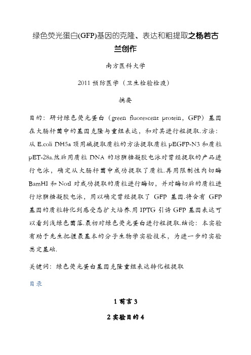 绿色荧光蛋白(GFP)基因的克隆、表达和粗提取