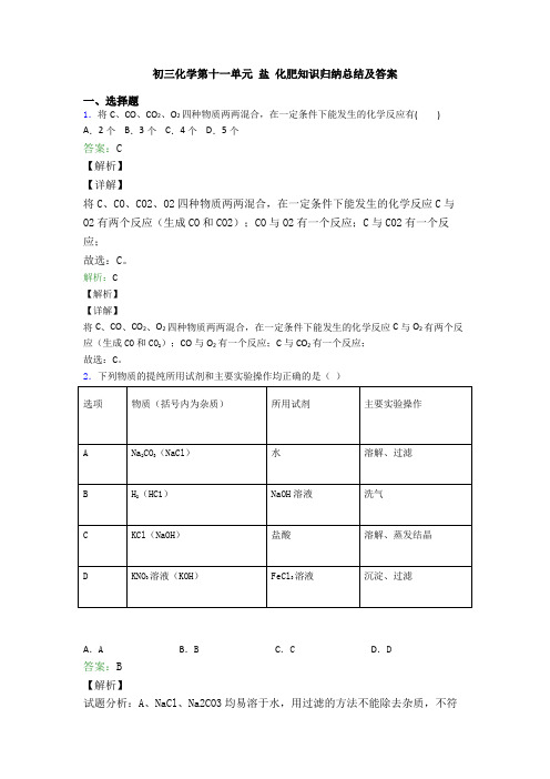 初三化学第十一单元 盐 化肥知识归纳总结及答案