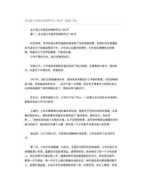 这才是少年最好的模样作文700字(精选5篇)