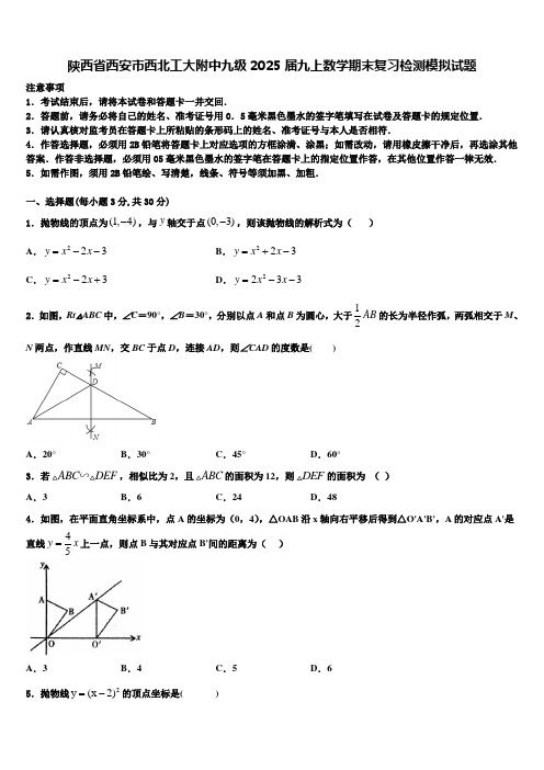 陕西省西安市西北工大附中九级2025届九上数学期末复习检测模拟试题含解析