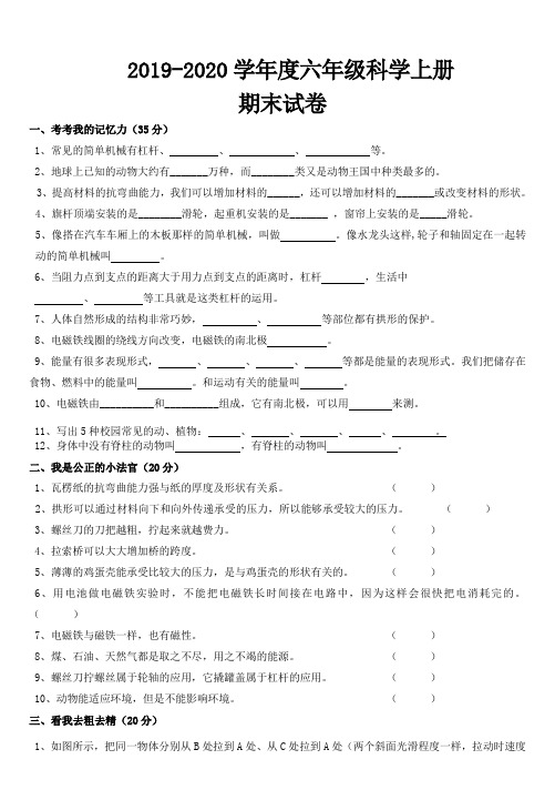 2019-2020学年教科版小学科学六年级上期末试卷