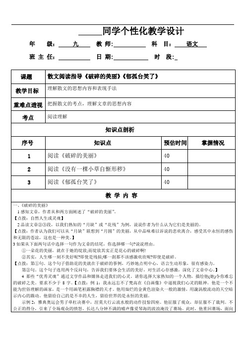 一对一辅导教案 散文阅读理解《郁孤台笑了》《破碎的美丽》