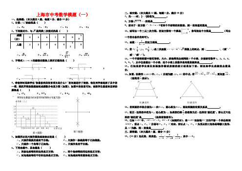 上海市中考数学模拟试题及答案八套