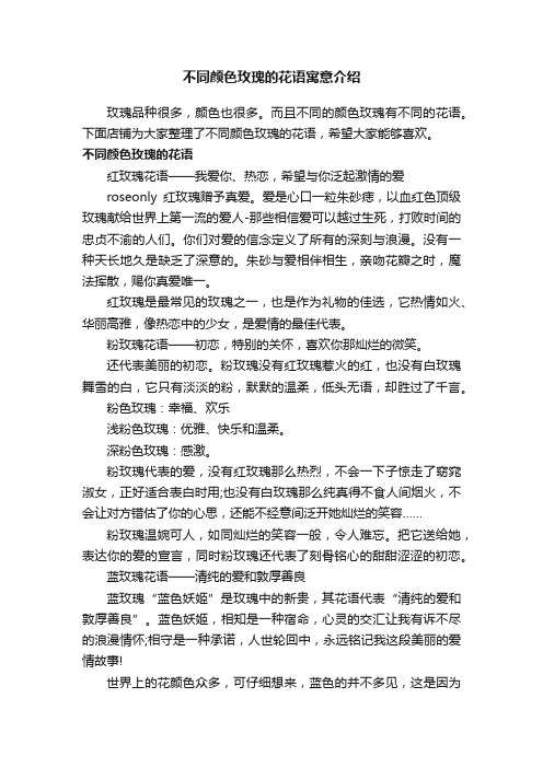 不同颜色玫瑰的花语寓意介绍