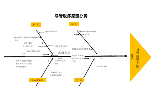 意外脱管鱼骨图分析