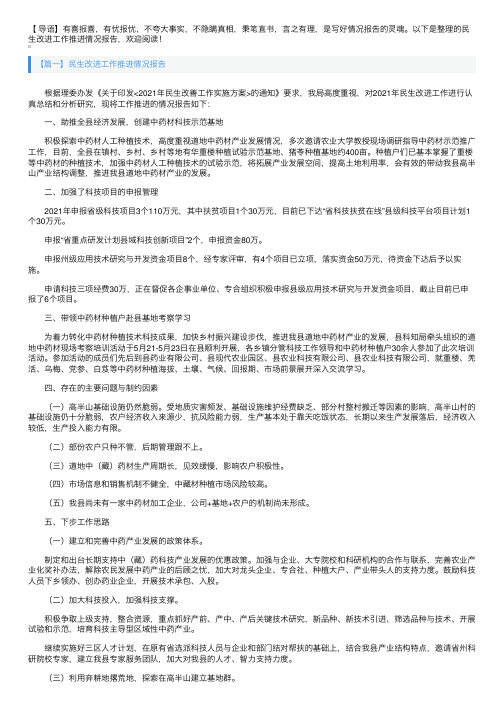 民生改进工作推进情况报告