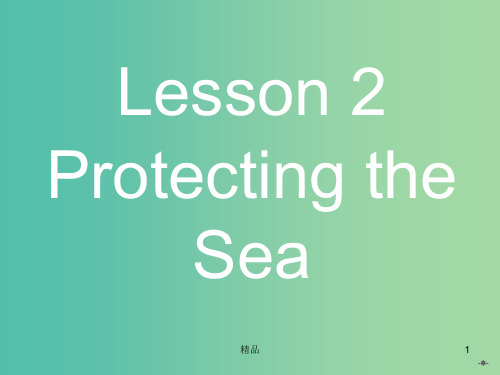 高中英语 7.2Protecting the Sea课件 北师大版必修3