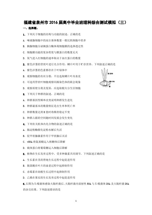 【生物】福建省泉州市2016届高中毕业班理科综合测试模拟(三)