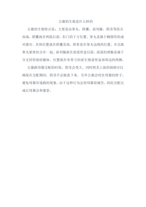 公猫的生殖是什么样的