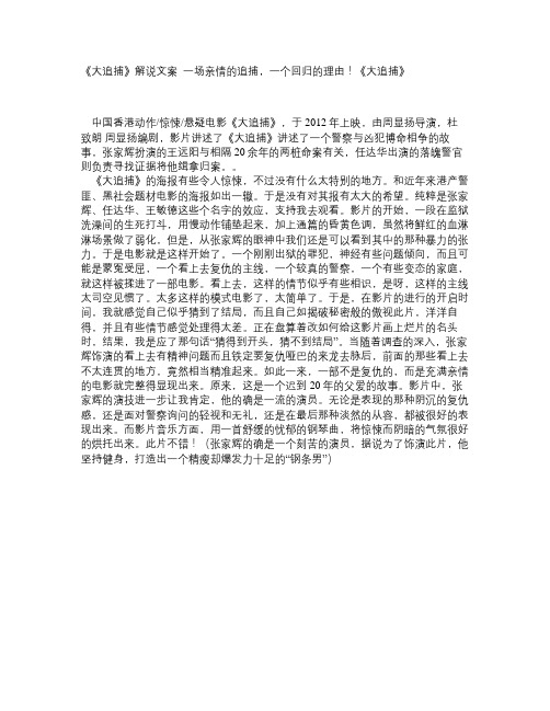 《大追捕》解说文案_一场亲情的追捕,一个回归的理由!《大追捕》