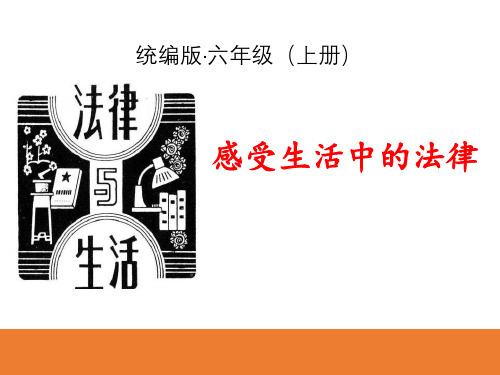《感受生活中的法律》我们的守护者PPT-模板