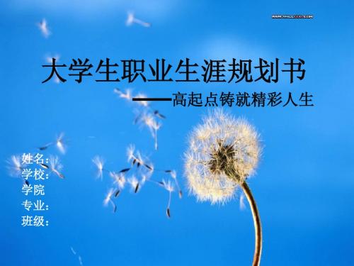 精心修改的职业生涯规划书