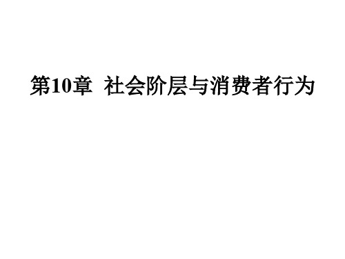 社会学 第10章 社会阶层与消费者行为