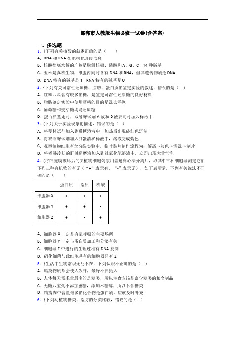 邯郸市人教版生物必修一试卷(含答案)