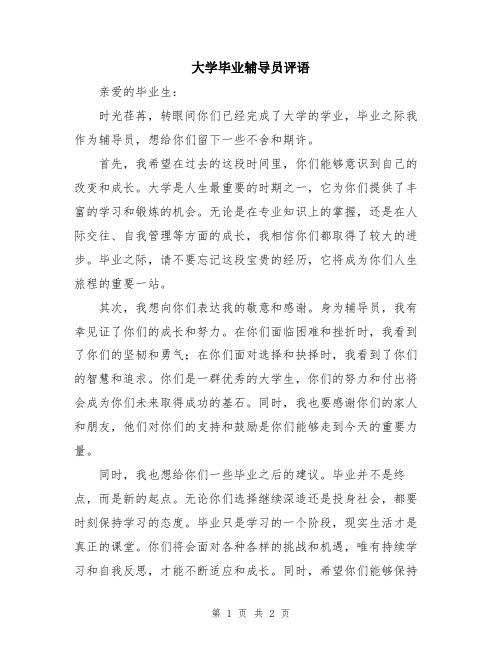 大学毕业辅导员评语