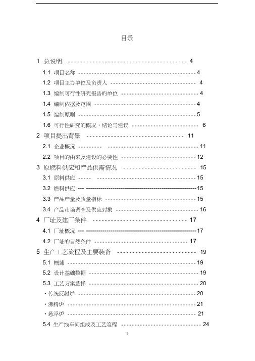 (项目管理)年产t轻烧氧化镁反射窑节能减排改造项目可行性研
