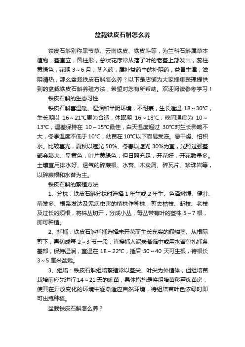 盆栽铁皮石斛怎么养