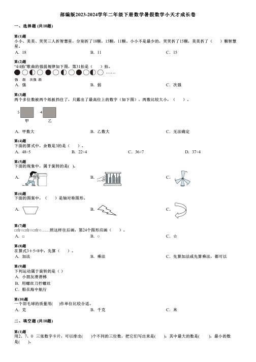 部编版2023-2024学年二年级下册数学暑假数学小天才成长卷