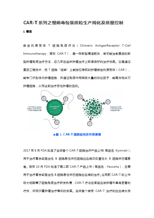 CAR-T系列之慢病毒包装质粒生产纯化及质量控制