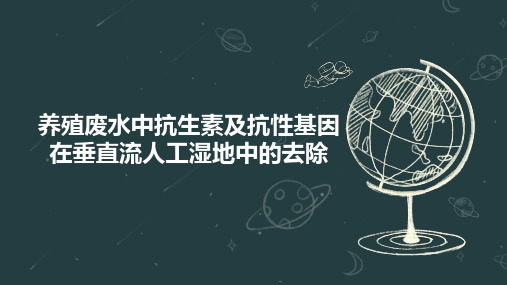 养殖废水中抗生素及抗性基因在垂直流人工湿地中的去除