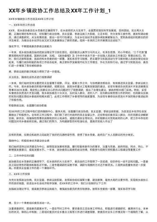 XX年乡镇政协工作总结及XX年工作计划_1