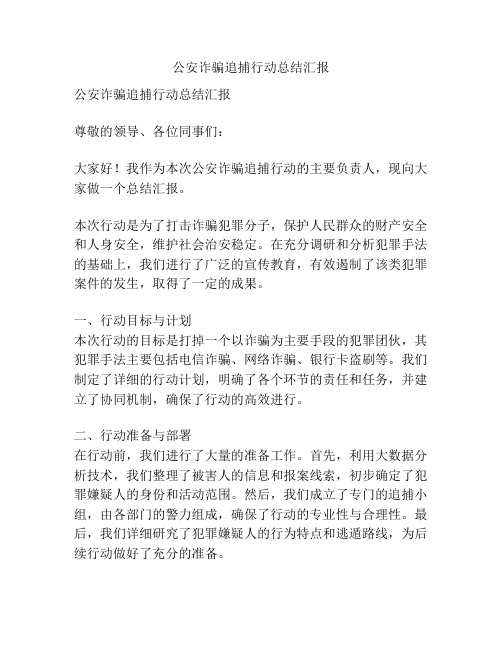 公安诈骗追捕行动总结汇报