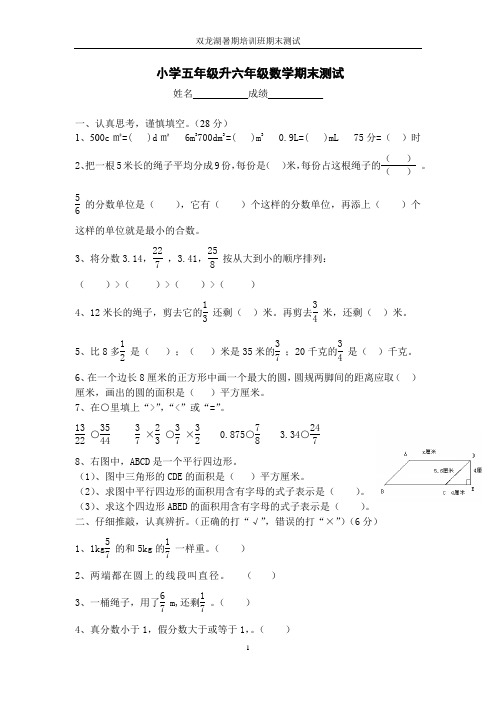 小学五升六数学试题