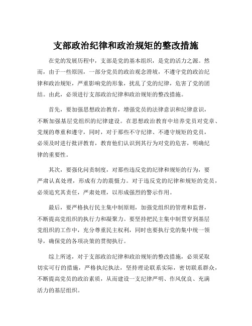 支部政治纪律和政治规矩的整改措施