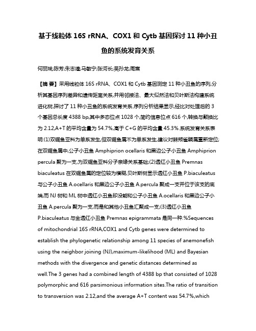 基于线粒体16S rRNA、COX1和Cytb基因探讨11种小丑鱼的系统发育关系