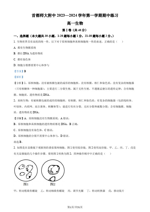 2023北京市首都师范大学附中高一上学期期中生物试题(解析版)