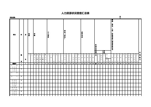 人力资源状况普查汇总表