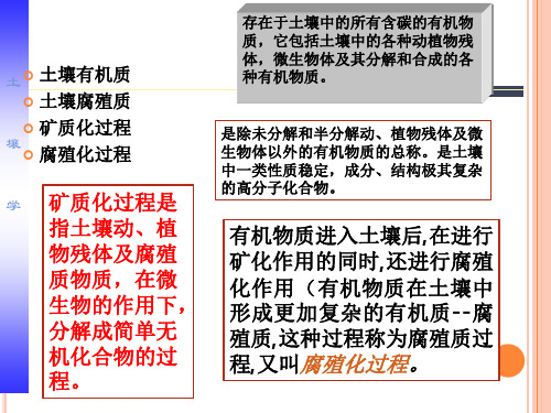 土壤生物ppt课件
